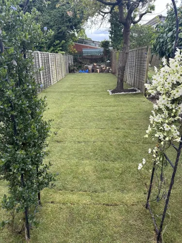 Garden Transformation (image 3 of 6)
