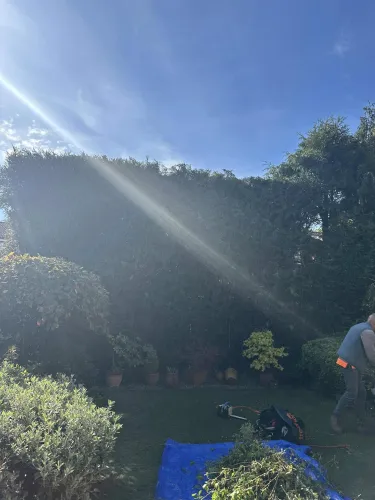 Garden Transformation (image 5 of 6)