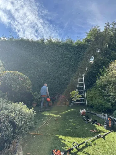 Garden Transformation (image 6 of 6)