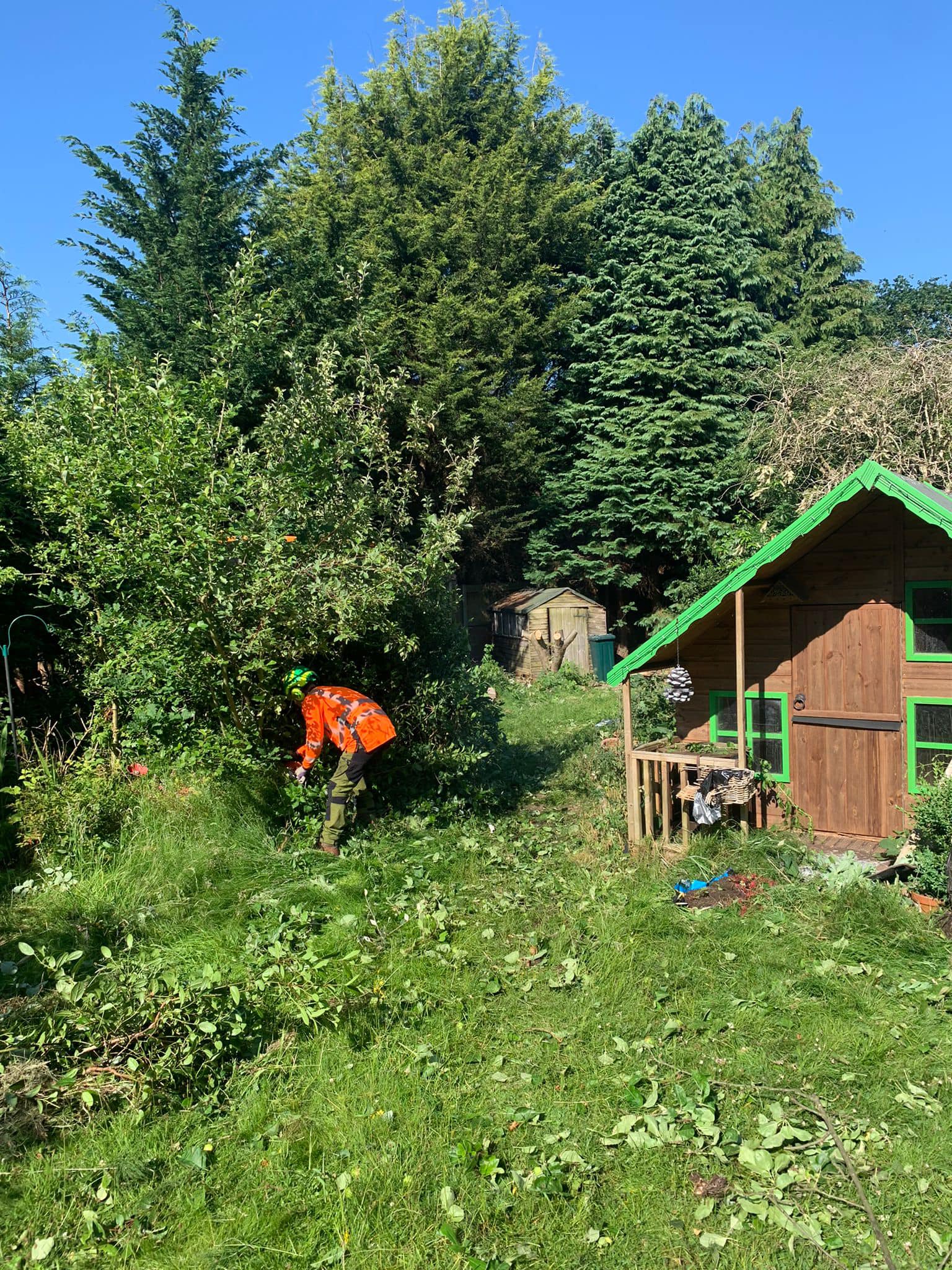 Tree Pruning And Felling Birmingham, Wolverhampton, Dudley